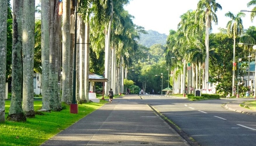 Road between green trees during daytime.jpg
