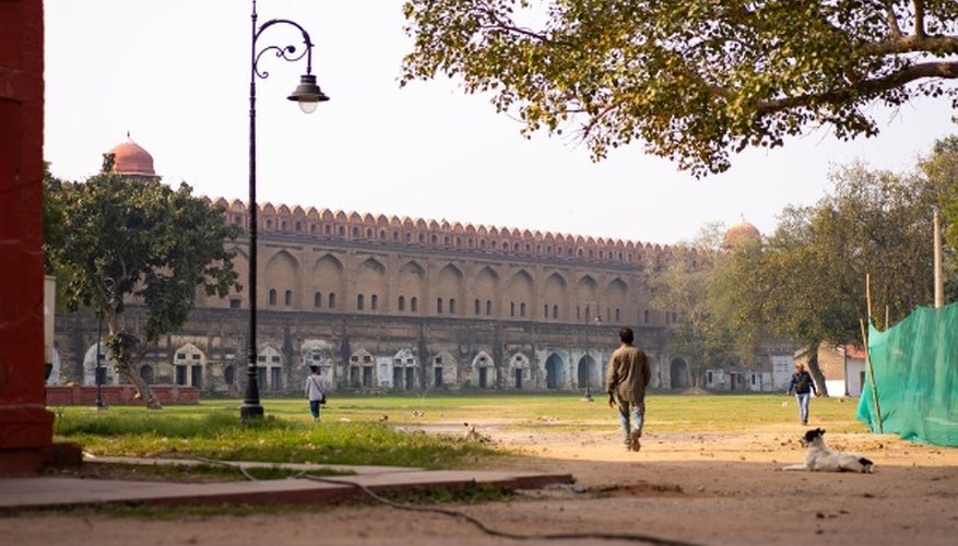 Man in brown jacket walking on pathway near trees during daytime.jpg