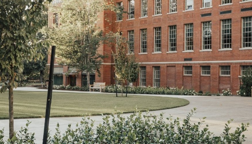 Building beside road and grass with trees during day.jpg