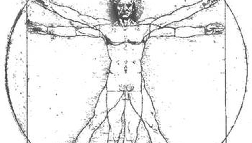 Da Vinci's Vitruvian Man