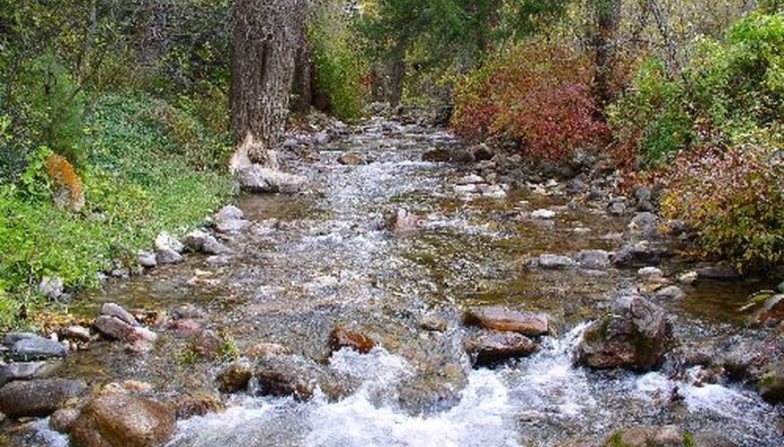 The History of No Name, Colorado