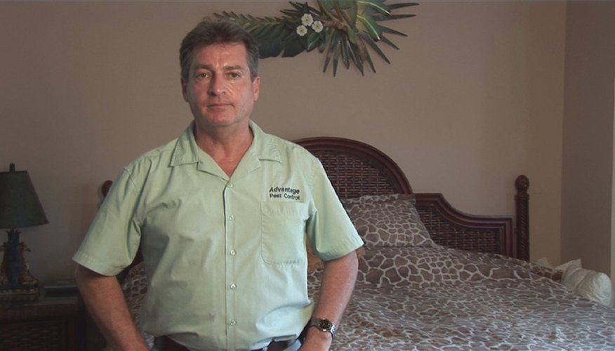 How to Get Rid of Bed Bug Infestation
