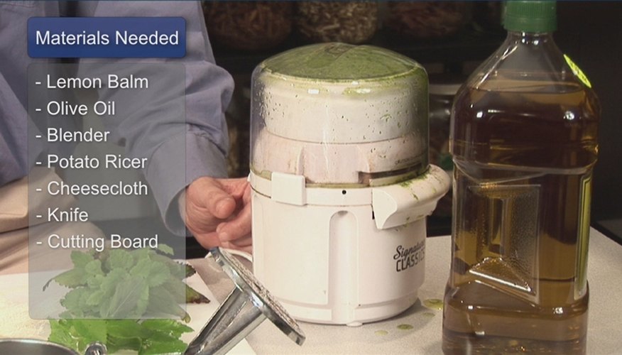 How to Make Lemon Balm Oil