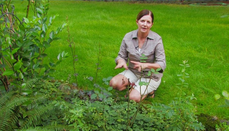 Garden Bed Landscaping Ideas