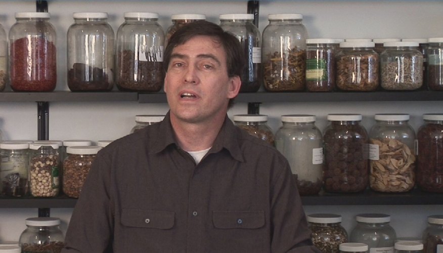 Herbal Treatments for Fungal Infections of the Scalp