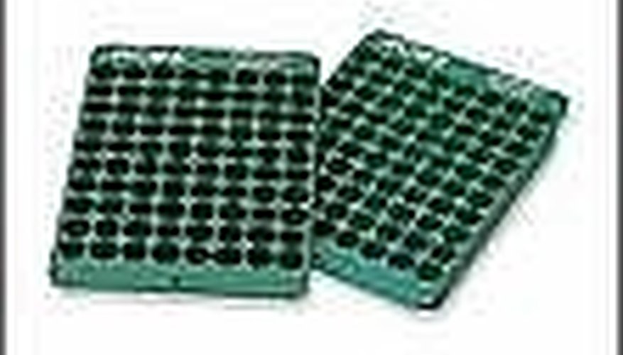 Bullet Trays