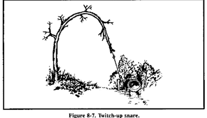 Twitch up Snare construction