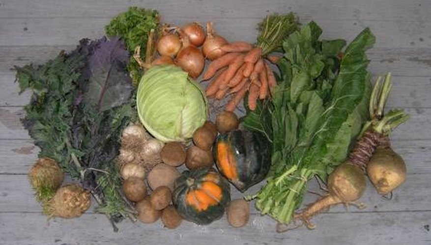 Russian Cuisine Vegetables