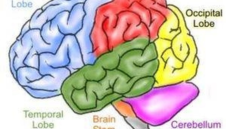 brain-stem-stroke-symptoms-healthy-living