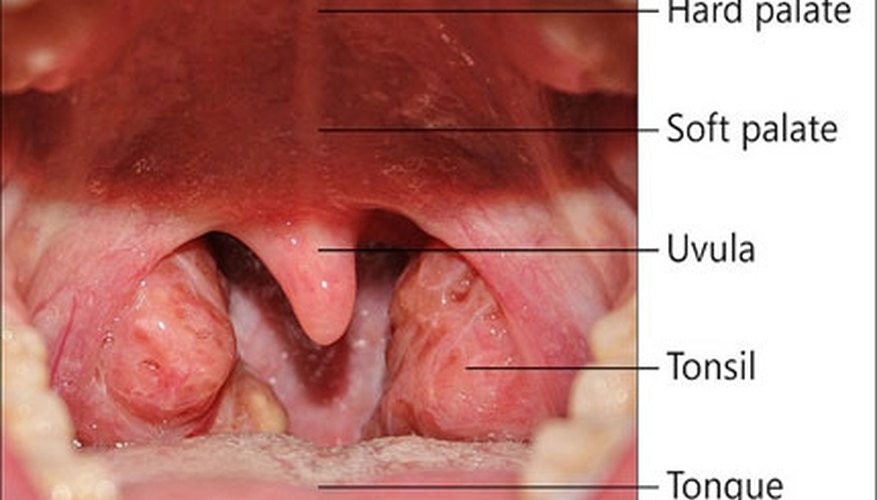 how-long-does-tonsillitis-last-healthy-living