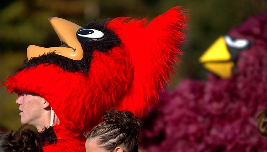 Mascot