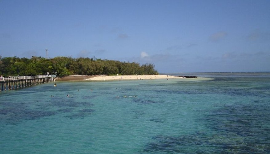 Reefs protect shorelines.