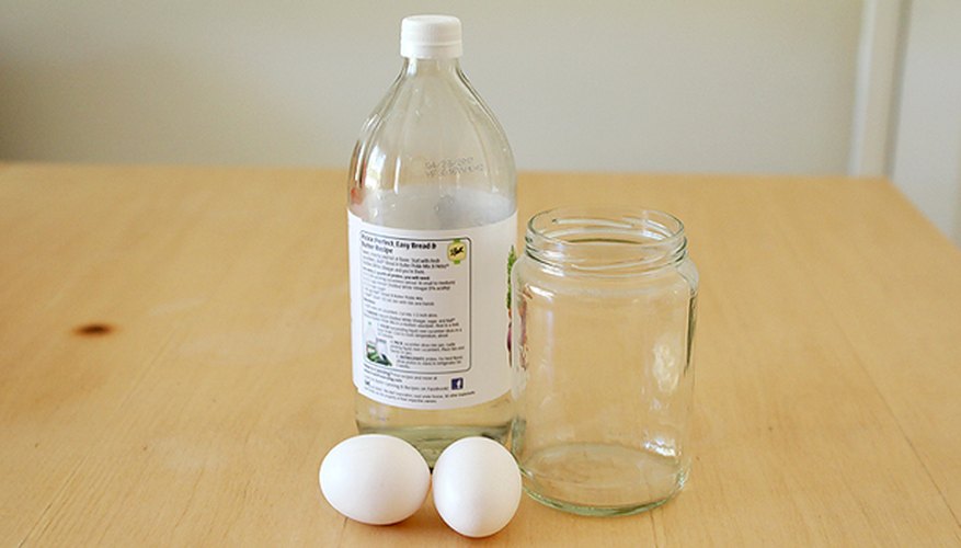 At Home Science: Naked Egg Experiment | Sciencing
