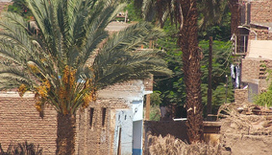Photo Credit: arabic building at coast of nil image by Mirek Hejnicki from <a href= Match grade rifles are used by the military.