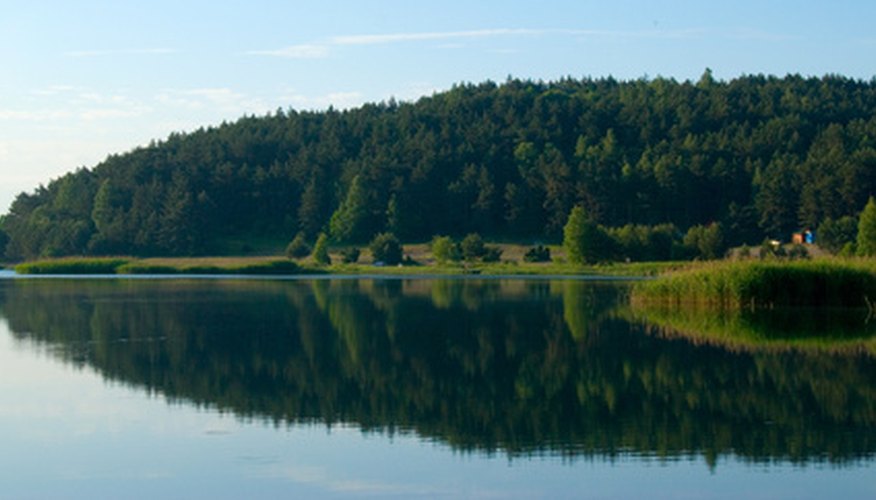 Photo Credit: lake image by Zbigniew Nowak from <a href='http://www.fotolia.com'>Fotolia.com</a> Typical type of lake in which pike are found.