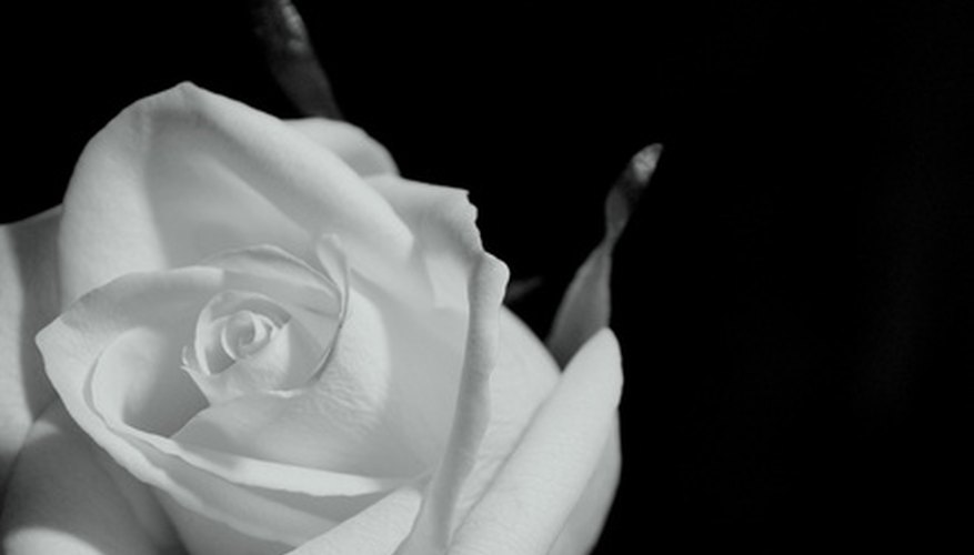 Create a personal tribute.