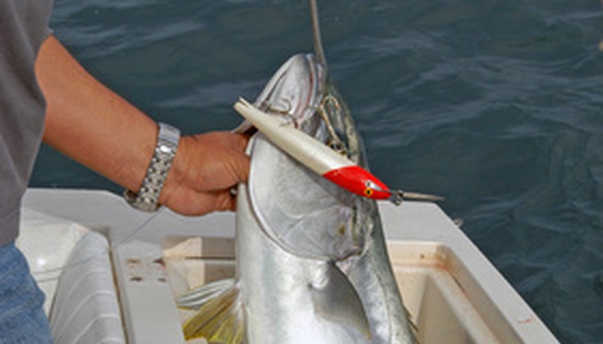 Photo Credit: fishing lure image by Mitchell Knapton from <a href='http://www.fotolia.com'>Fotolia.com</a> You would use a baitcaster to throw bigger lures to hard-fighting fish.