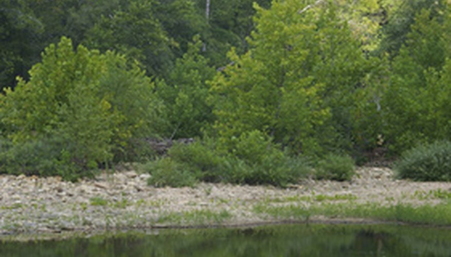 Photo Credit: reflections 2 image by BONNIE C. MARQUETTE from <a href='http://www.fotolia.com'>Fotolia.com</a> Attract fish to your chosen spot by throwing some attractant into the water.