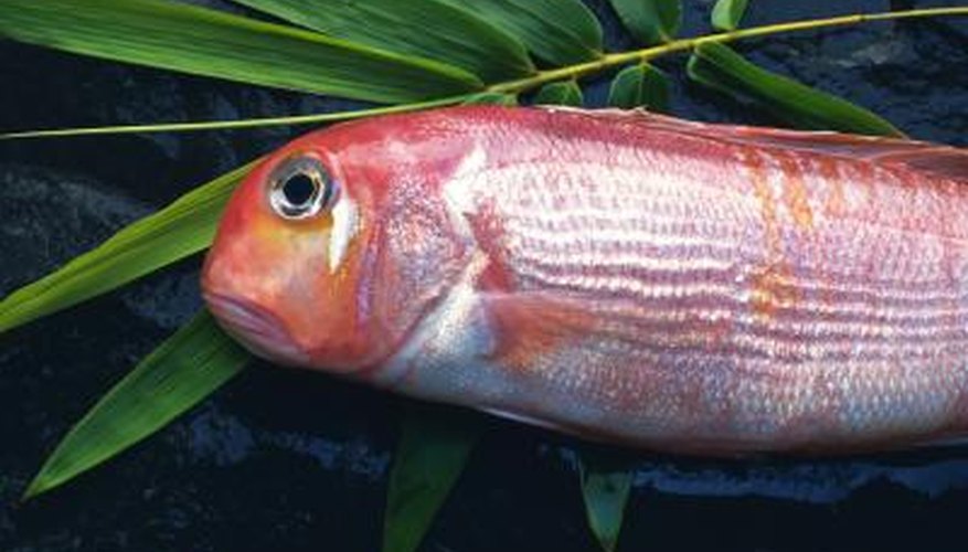 Photo Credit: DAJ/amana images/Getty Images Tilefish on bamboo leafe