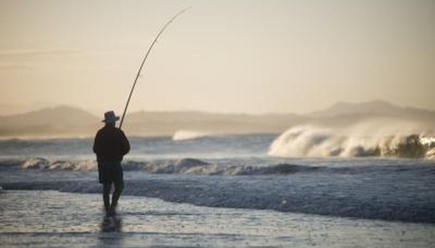 Photo Credit: PTW/iStock/Getty Images Behavior and feeding habits can also play a role in saltwater fish species.