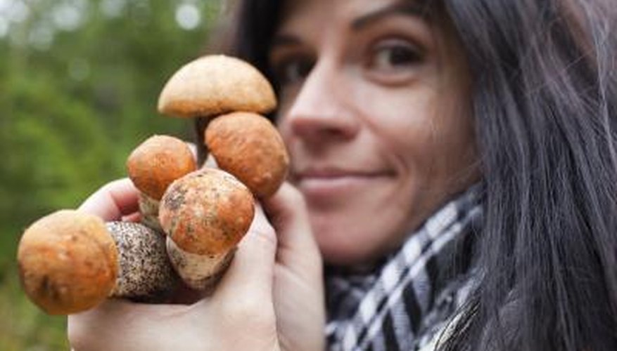 Photo Credit: waldru/iStock/Getty Images A woman holds a handful of boletes.