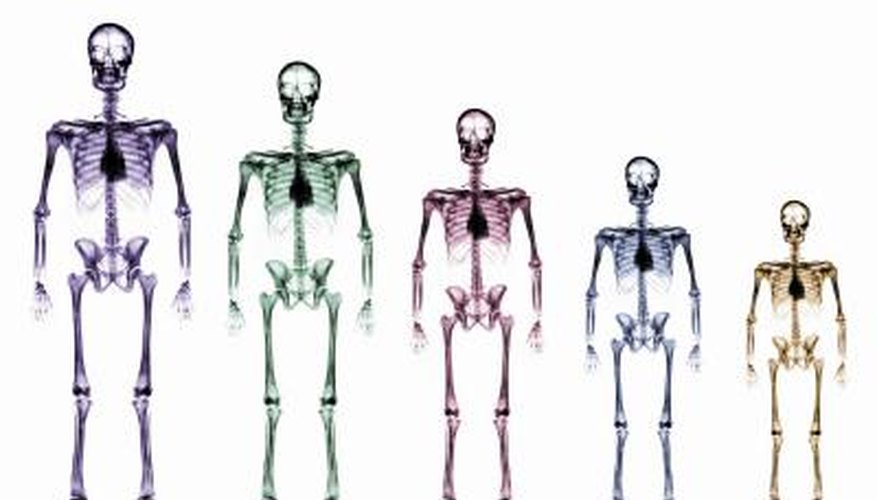 what-does-lateral-vs-medial-mean-healthy-living