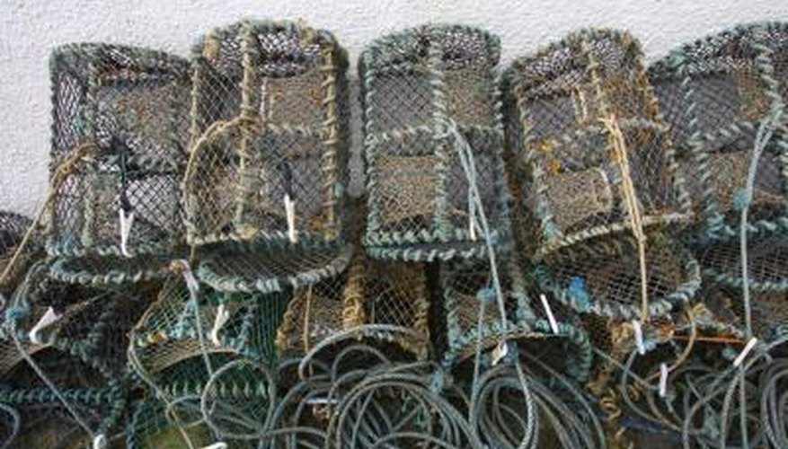 Photo Credit: Christof Koepsel/Photodisc/Getty Images Fish traps are designed so that once fish swim in, they cannot swim out.
