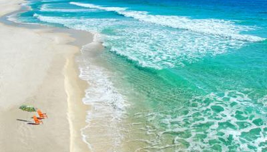 Photo Credit: Cheryl Casey/iStock/Getty Images There are more than 1,000 fish species along the coast of Florida.