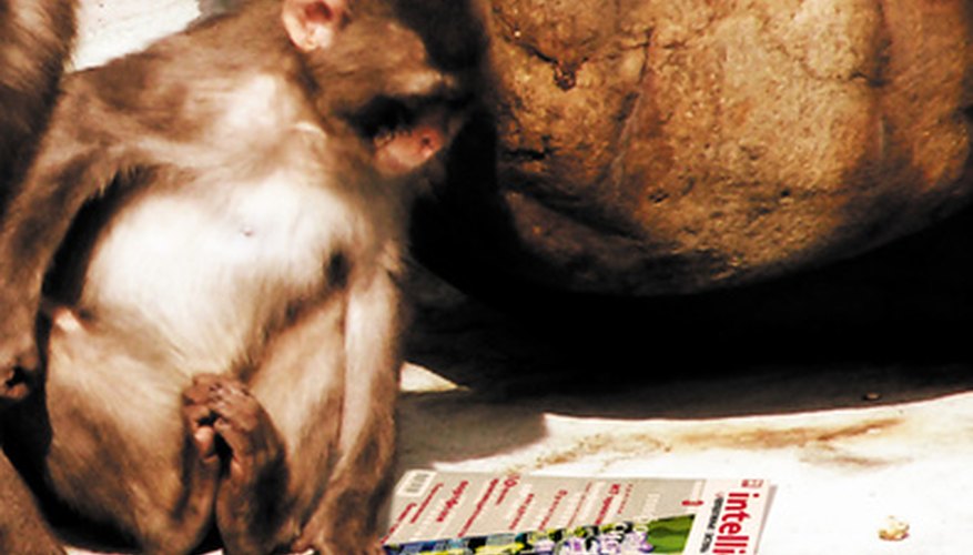 The publication information is often in small print, located just below the title or in a corner of the front cover of a journal.