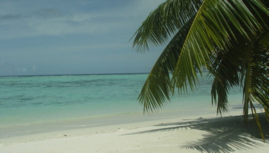 Exotic trips are often prizes in sweepstakes drawings.