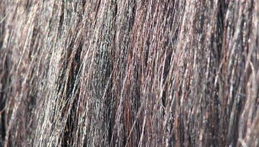 Using hair from a horse's tail is said to cure warts.