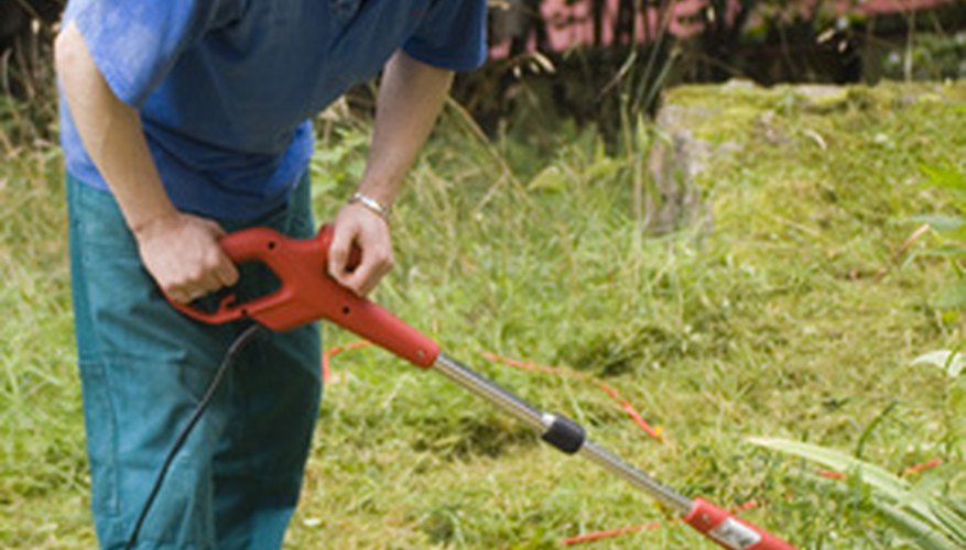 Pregunta a los locales si tienen trabajos en el jardín que puedas hacer.