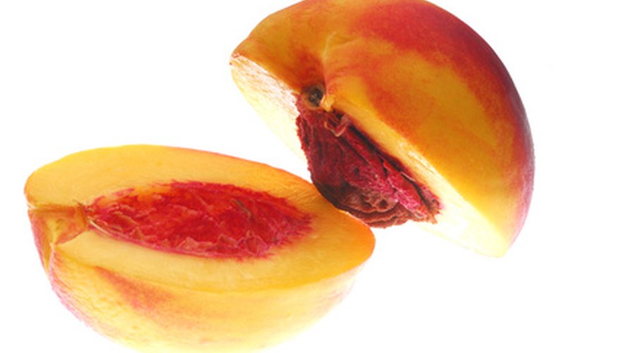 Nectarine seeds must sprout in cold temperatures.