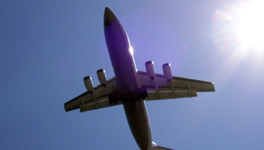 International flight attendants are trained in passport and customs regulations.