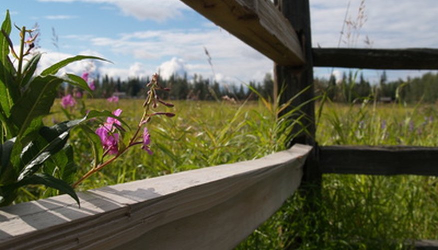 Wooden posts will last years in wet soil if installed properly,