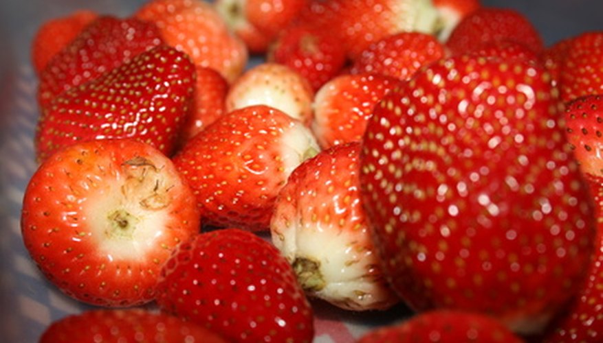 Strawberries naturally clone themselves as a form of reproduction.