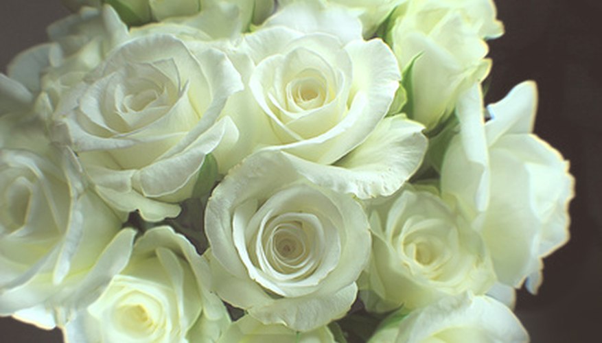 White roses can be sent upon a death.