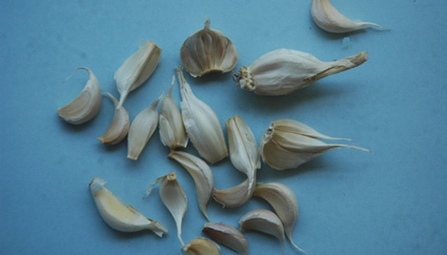 Fresh garlic is vital in the fight against parasites.