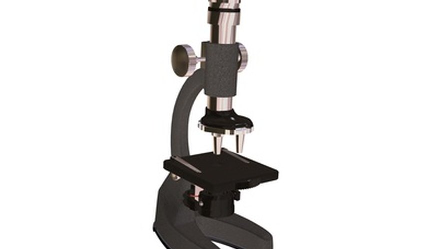 A compound light microscope has some disadvantages that should be considered.