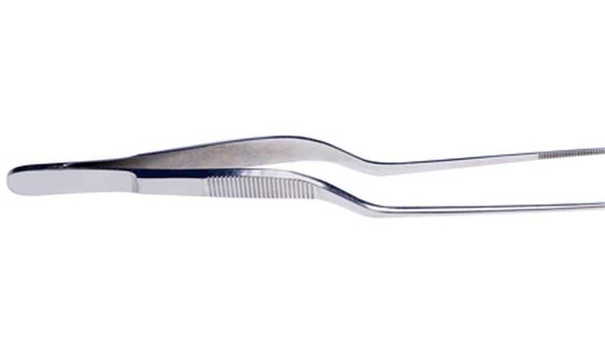 Presicison tweezers will make working in the open watch case easier.