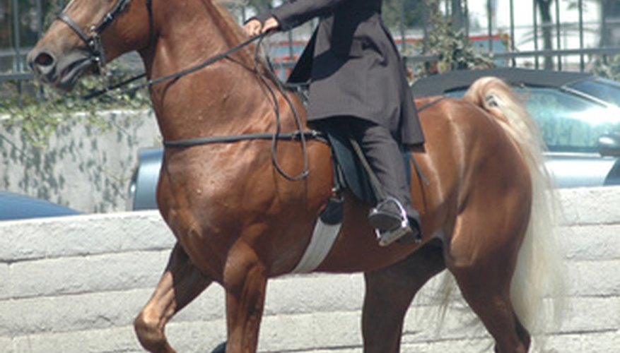 The school also offers a one-day and a six-day trim class for horse owners.