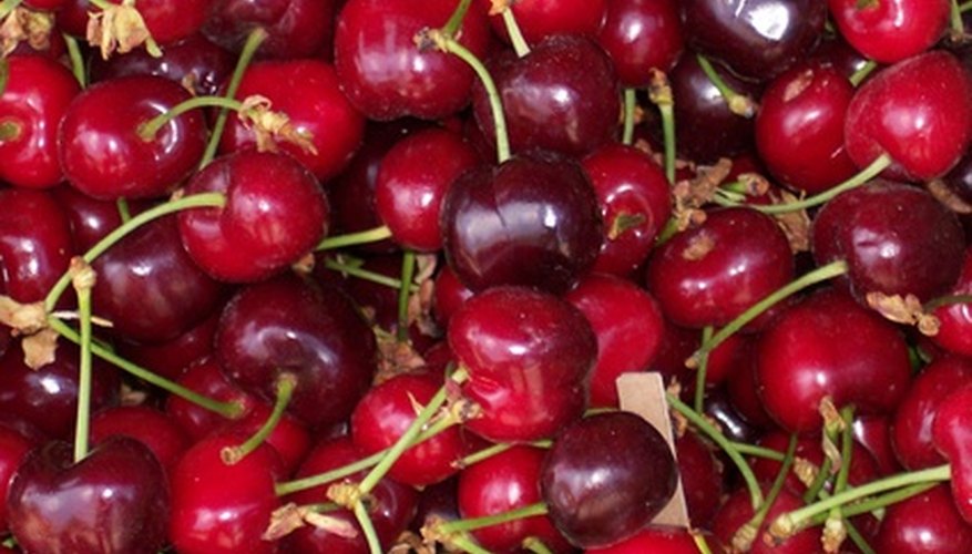 Cherries are an excellent low-purine food source.
