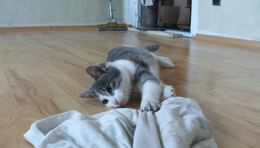 Cat urine can damage laminated floors if not cleaned up quickly.