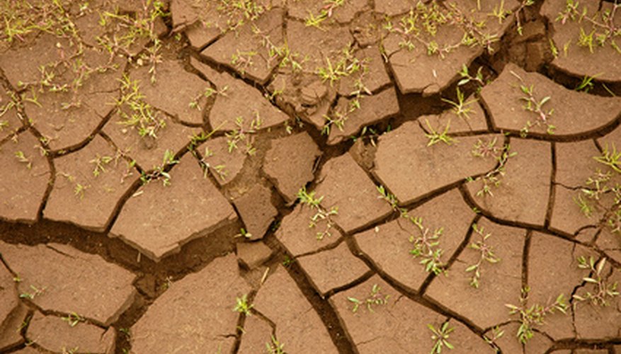 Dry, compact soil has high resistivity.