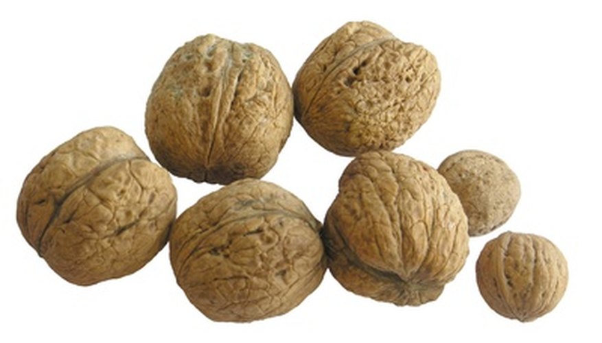 Walnuts contain vitamin E and are a good source of healthy fats.