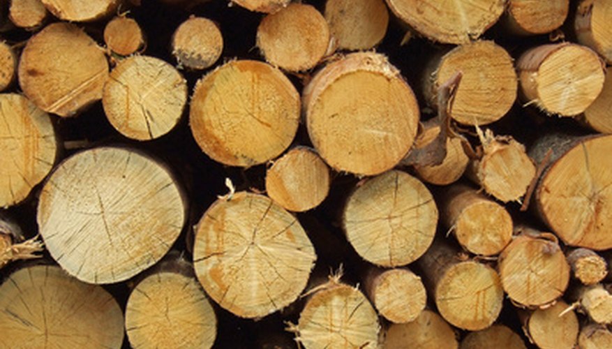 Troncos de madera.