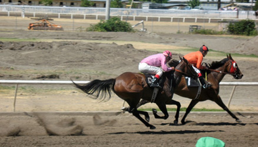Horse walkers are commonly used on race tracks to cool down horses following a workout or race.