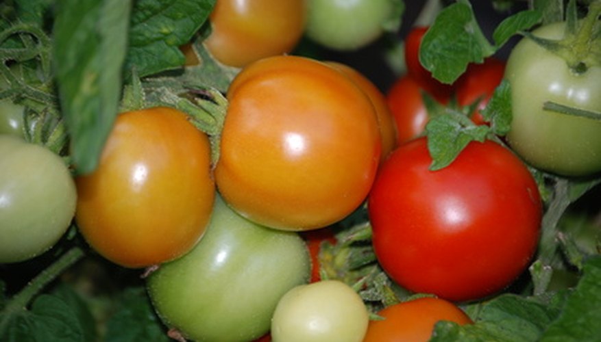 Las frutas y verduras crecen mejor en tierra orgánica.