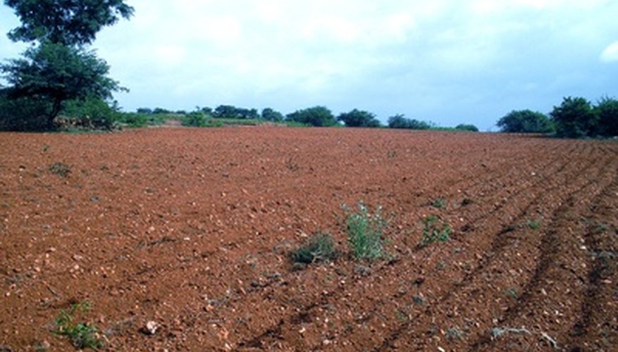 Topsoil is darker in colour than subsoil due to presence of organic matter.