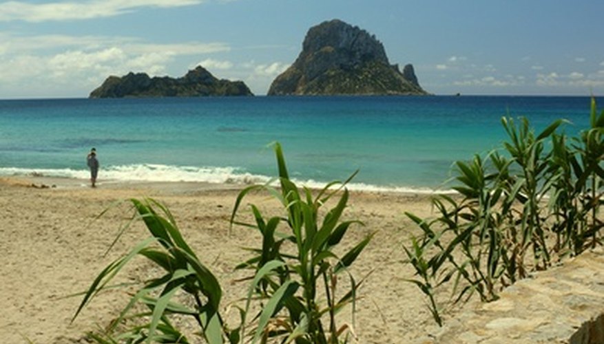Most business opportunities in Ibiza are linked to the tourist and service industries.